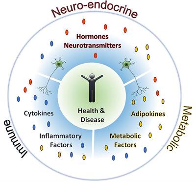 Frontiers Editorial Neuroendocrine Immunological Interactions In